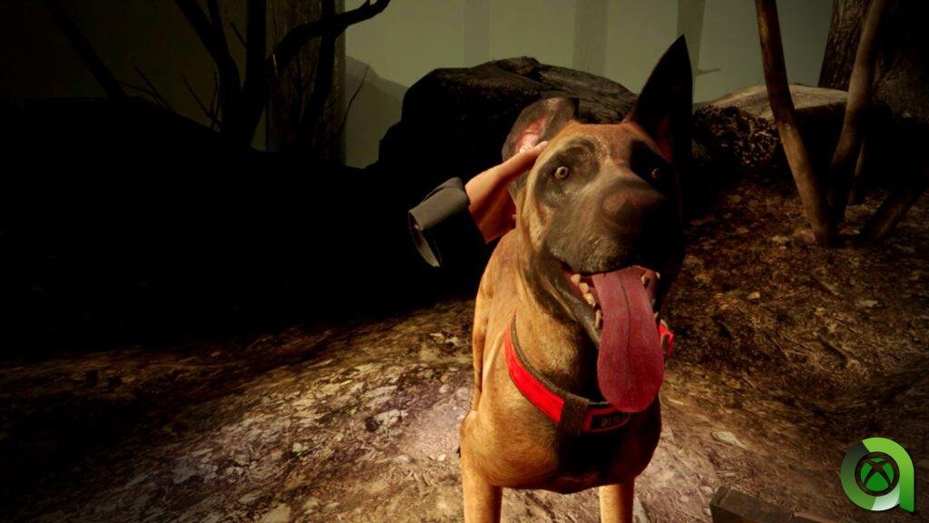 Bullet es mi mejor amigo