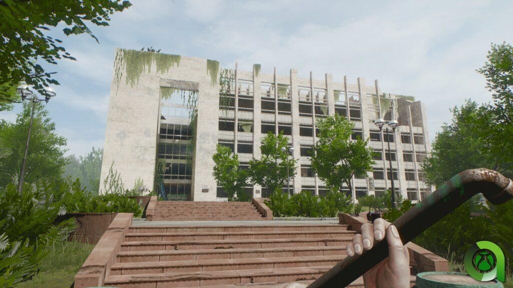 in rays of the light