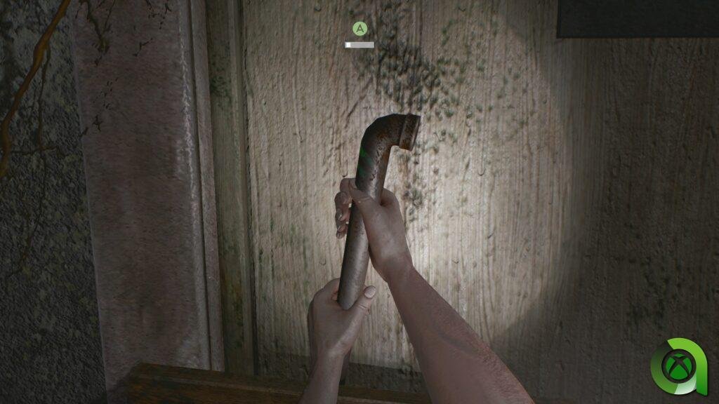 in rays of the light