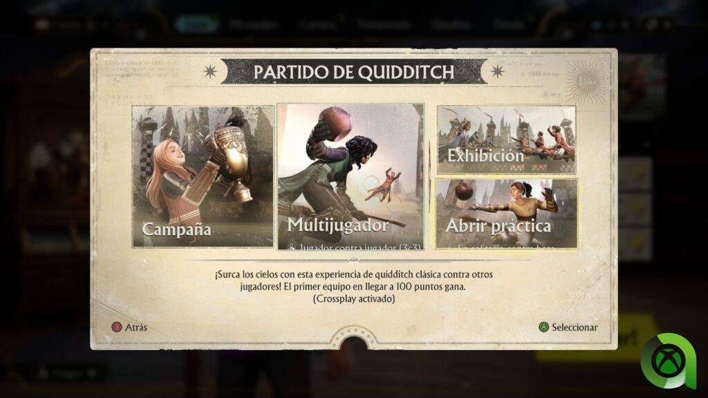 Harry Potter Quidditch Champions