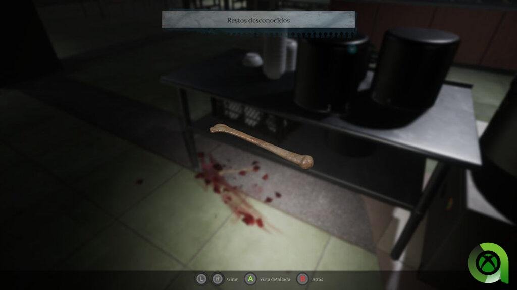 The Bridge Curse 2: The Extrication