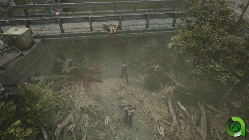 Análisis Chains of Freedom