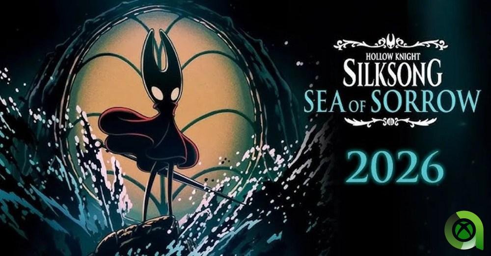 Hollow Knight Silksong DLC