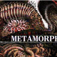 Metamorphosis sera desarrollado por Top Hat Studios