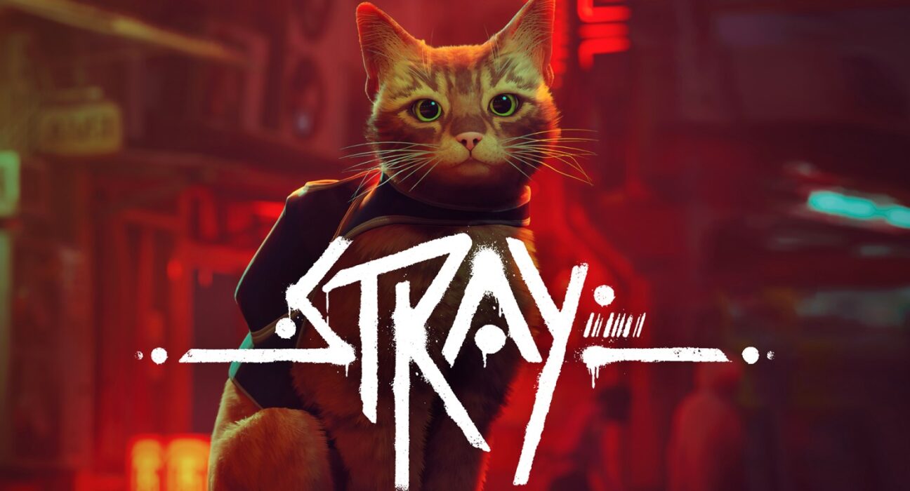 Stray prepara su lanzamiento en Switch 2