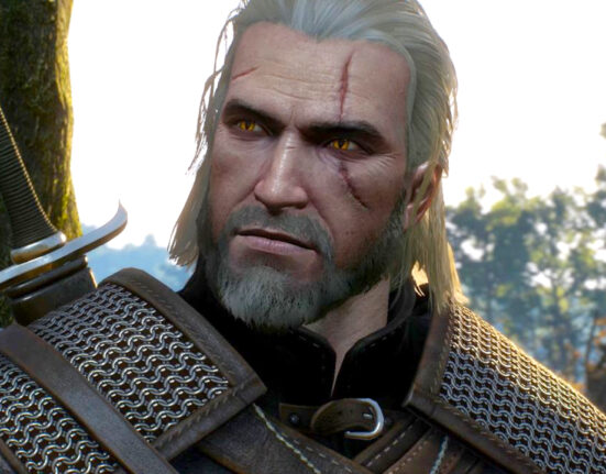 The Witcher