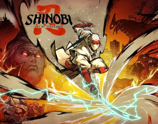 Shinobi Art Of Vengeance Switch 2