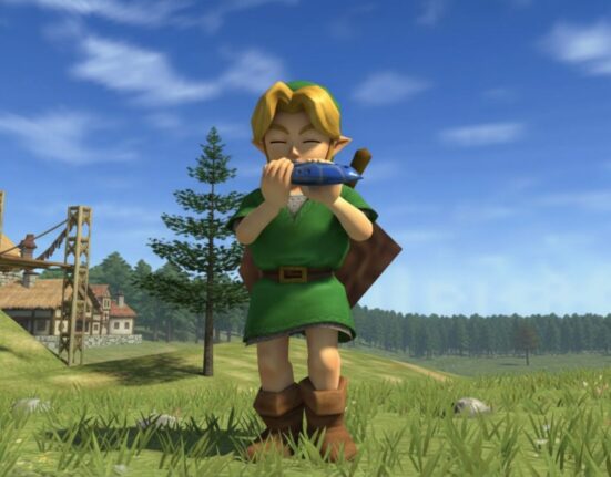 Zelda Ocarina of Time Remake