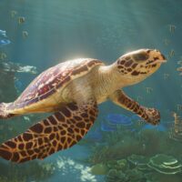 Planet Zoo 2 acuarios