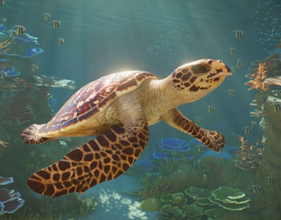 Planet Zoo 2 acuarios