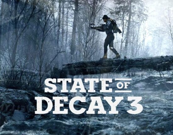 State of decay 3