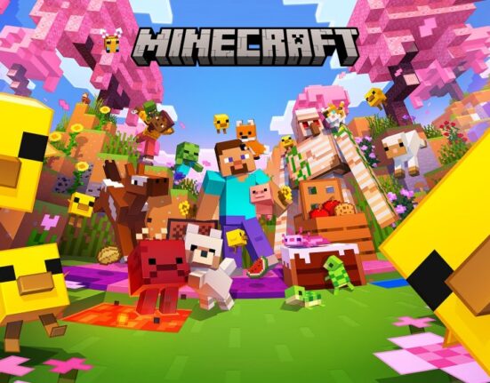 Minecraft Switch 2