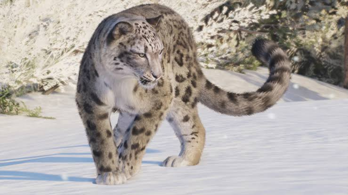 Planet Zoo 2 felino