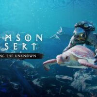El DLC Charting the Unknown de Crimson Desert suma un océano nuevo, barcos, bodas, casas a medida y negocios en un tráiler de seis minutos.