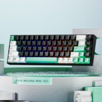 Razer Reclusa